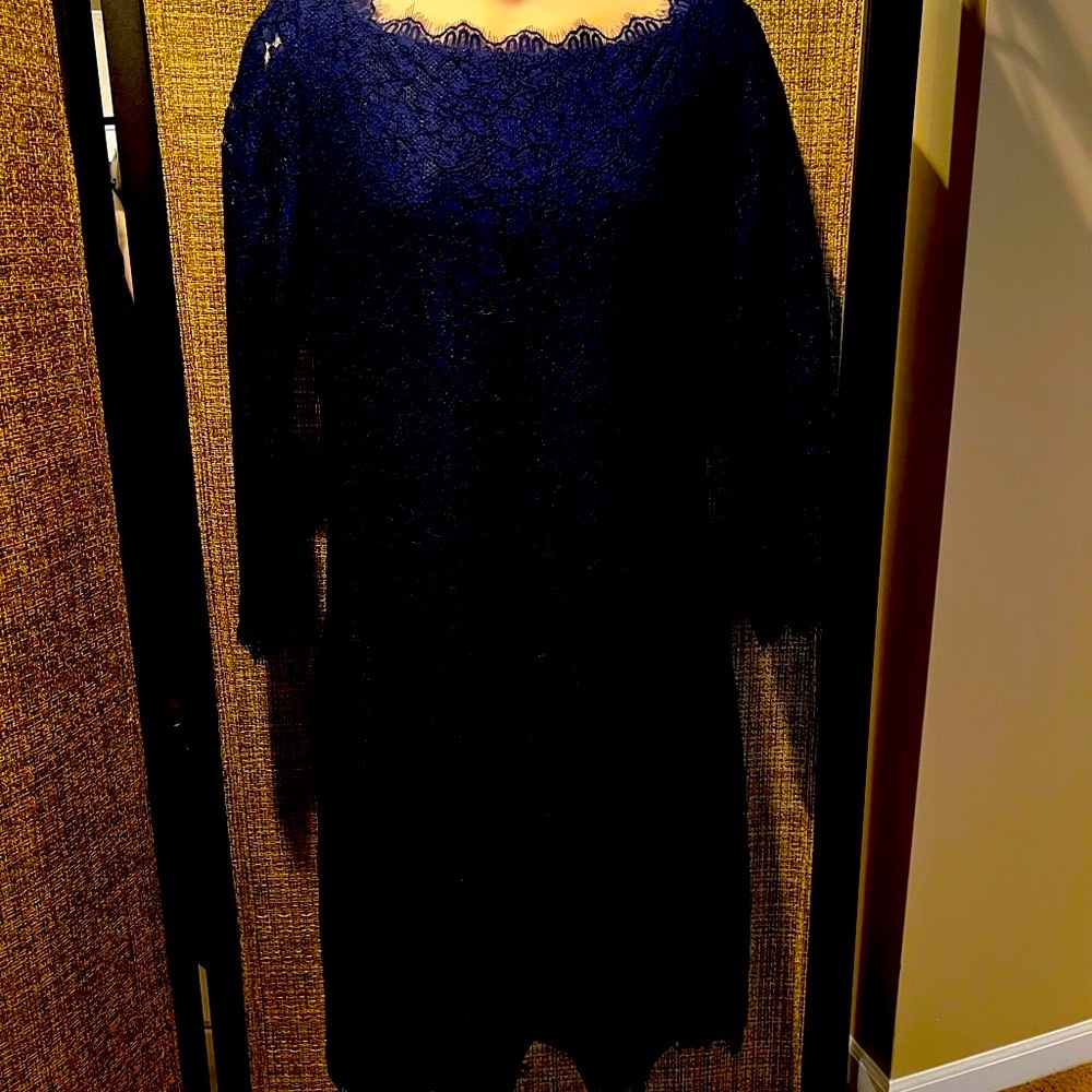 Diane Von Furstenberg Lace Sheath Dress size 12 Back zip